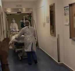 Ultimo paciente con coronavirus sale de la UCI del Hospital Clínico de Málaga