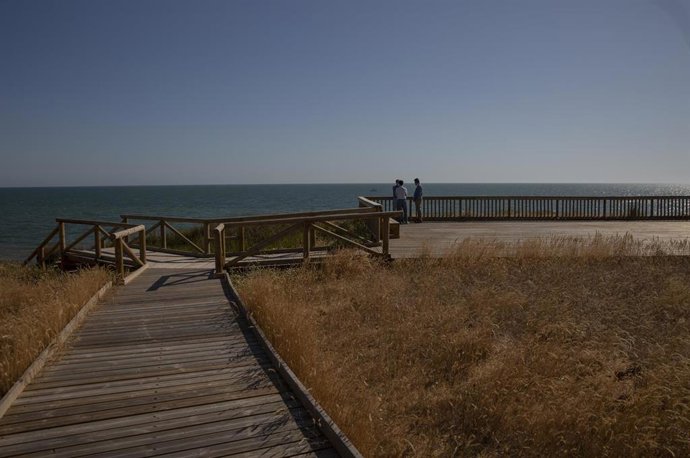La nueva pasarela de Cuesta Maneli en el Espacio Natural de Doñana. (Almonte, Huelva, Andalucía, España), a 09 de junio de 2020.