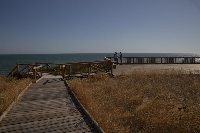 Coronavirus.- Andalucía establece aforos máximos y medidas preventivas en equipa