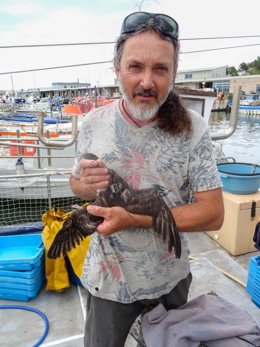SEO/BirdLife alerta sobre las capturas accidentales para la población de pardela