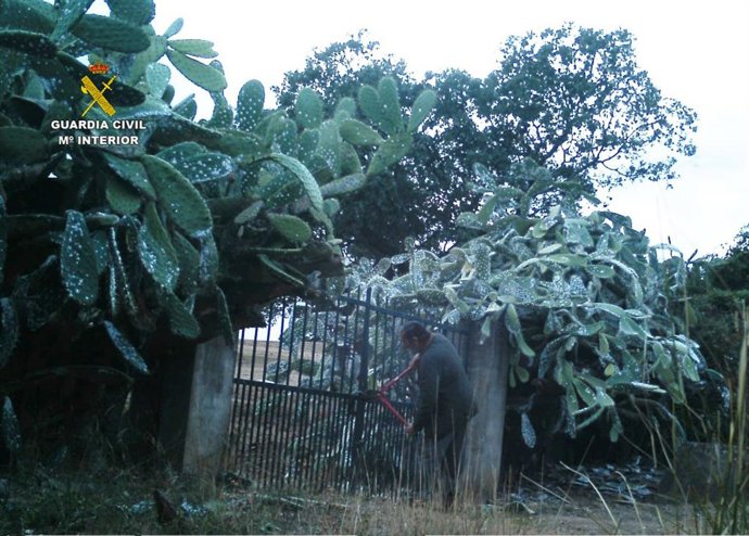 Nota De Prensa Y Fotgrafías Guardia Civil