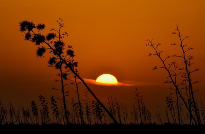 Imagen de la exposición fotográfica 'Almería, tierra de cine'