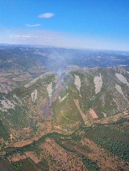 Vista aérea de un Incendio forestal.