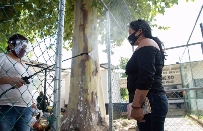Un funcionario de prisiones desinfecta a una visistante de la cárcel de Pacho Viejo, en el estado de Veracruz, con motivo de las celebraciones del Día del Padre dentro del centro penitenciario.