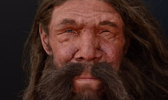 Estudian el ADN neandertal encontrado en humanos modernos usando células madre y