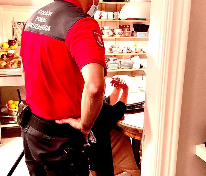 Un agente de la Policía Foral.