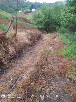 Supuesto uso de herbicidas.