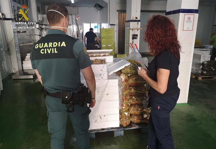 La Guardia Civil interviene marisco sin documentación.