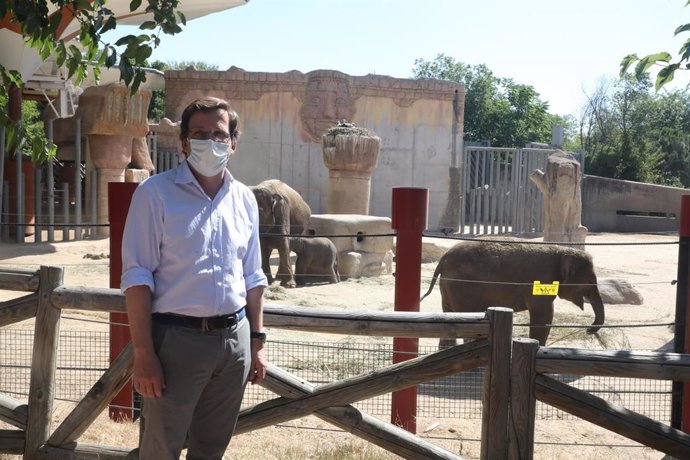 El alcalde de Madrid, José Luis Martínez-Almeida, junto a unos elefantes durante su visita al Zoo