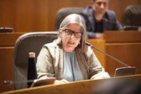 La Cámara autonómica se muestra favorable a la simplificación administrativa mediante la declaración responsable