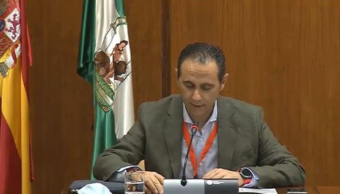 El presidente de CSIF-A, Germán Girela, comparece en la Subcomisión de Políticas Sociales para la recuperación de Andalucía por el Covid