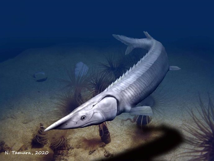 Un antiguo pez extinto como el esturión tomó su propio camino evolutivo