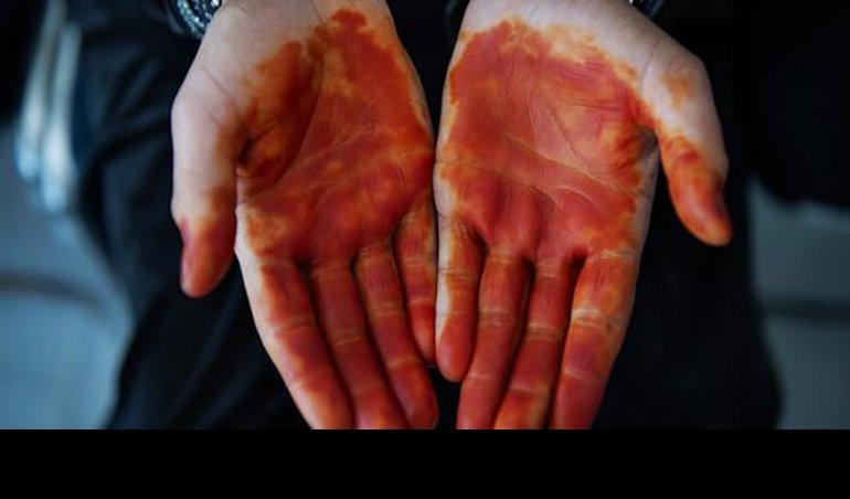 Cooperación y Desarrollo