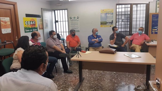 Jaén.- Asolite pide a las organizaciones agrarias la vuelta a las protestas por 