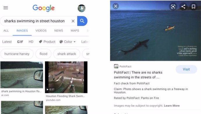 Google introduce el 'fact check' en las búsquedas de imágenes