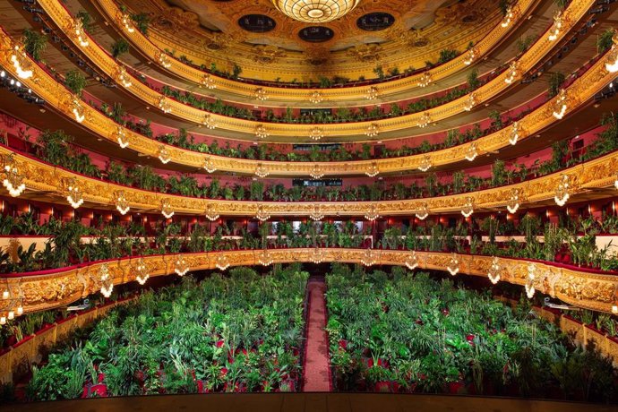 El artista Eugenio Ampudia da un concierto en el Liceu para un público de 2.292 plantas