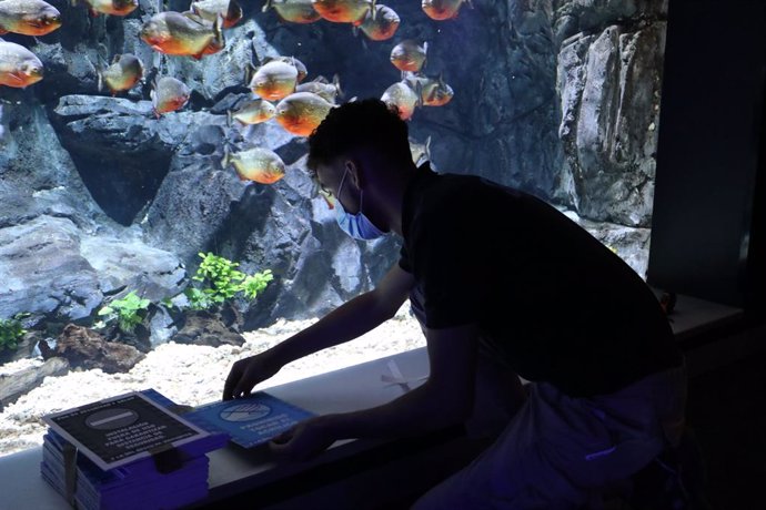 COMUNICADO: Atlantis Aquarium reabre sus puertas 