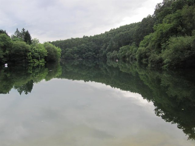 Gorostiza urtegia, Barakaldon