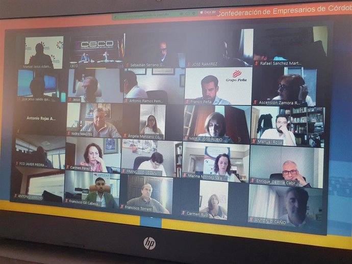 Un momento de la Asamblea General de CECO, celebrada telemáticamente.