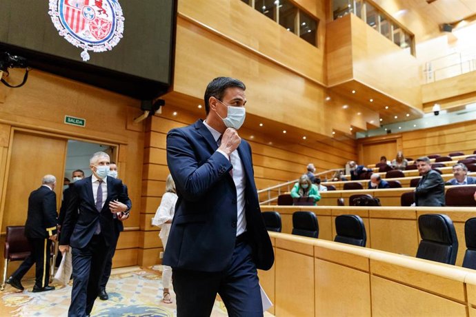 El presidente del Gobierno, Pedro Sánchez, y el ministro del Interior, Fernando Grande-Marlaska, a su llegada a un Pleno del Senado.