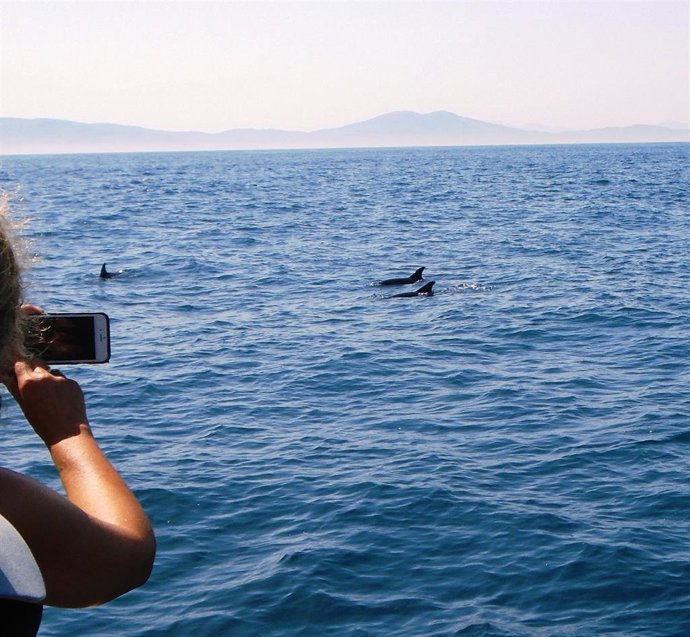 Zetazeoak ikusteko irteera itsasora