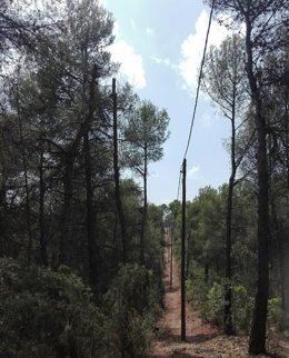 Red Eléctrica De Tercui (Lleida).