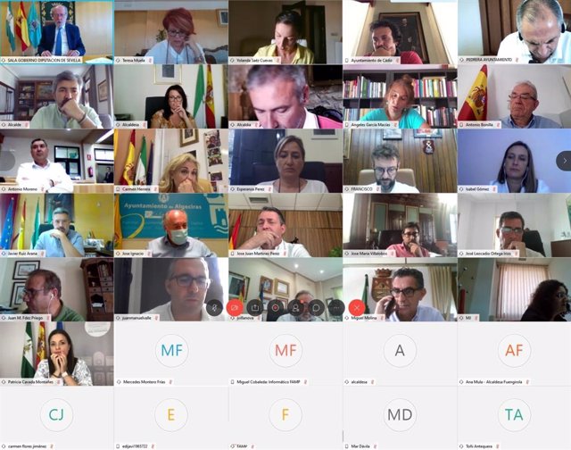 Reunión telemática de la Ejecutiva y el Consejo Municipalista Andaluz de la FAMP