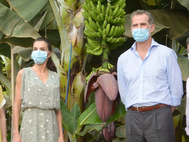 Los Reyes don Felipe y doña Letizia durante su visita a una plantación de plátanos en Tenerife