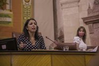 El Parlamento andaluz destinará un 0,7% de su presupuesto a proyectos de emergencia social ante el Covid-19