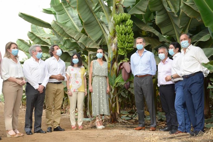 Visita de los Reyes este mmartes a Canarias tras la finalización del estado de alarma para conocer de primera mano la situación del archipiélago tras la pandemia de la Covid-19. 