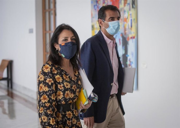 La presidenta del Parlamento de Andalucía, Marta Bosquet (i), junto al letrado mayor del Parlamento andaluz, Javier Pardo Falcón (d), a su llegada a la sesión constitutiva de la Comisión de Estudio sobre la recuperación económica y social de Andalucía a