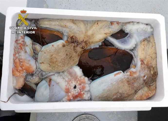 La Guardia Civil detiene in fraganti a dos pescadores furtivos en el espacio natural de Cabo Tiñoso