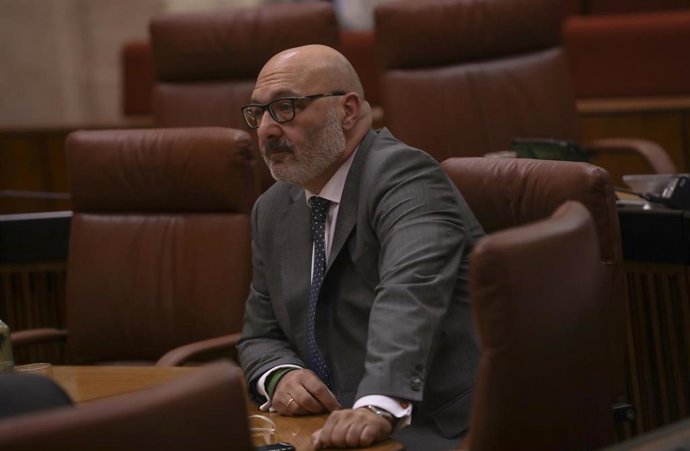 El portavoz del grupo parlamentario Vox, Alejandro Hernández