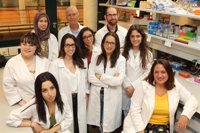 Equipo de investigación de la UPO