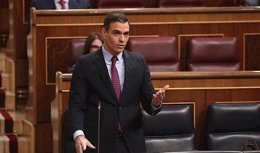 El presidente del Gobierno, Pedro Sánchez, en la sesión de control al Gobierno.
