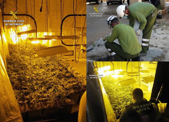 Vídeo de la noticia