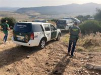A disposición judicial los 29 detenidos por narcotráfico en Cádiz, Málaga, Granada y Almería