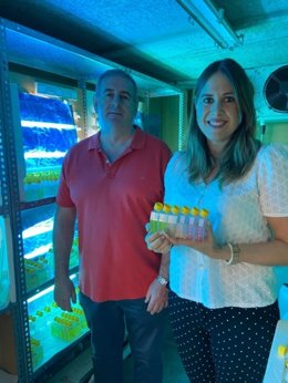 Investigadores del proyecto 'Vesynech'