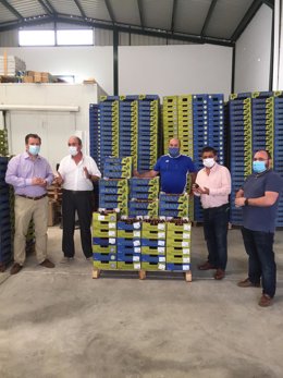 Visita del presidente de la Diputación de Jaén a la cooperativa de San Isidro.