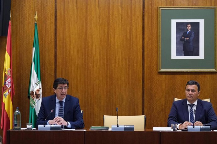 El vicepresidente y consejero de Turismo, Regeneración, Justicia y Administración Local, Juan Marín, en comisión parlamentaria.
