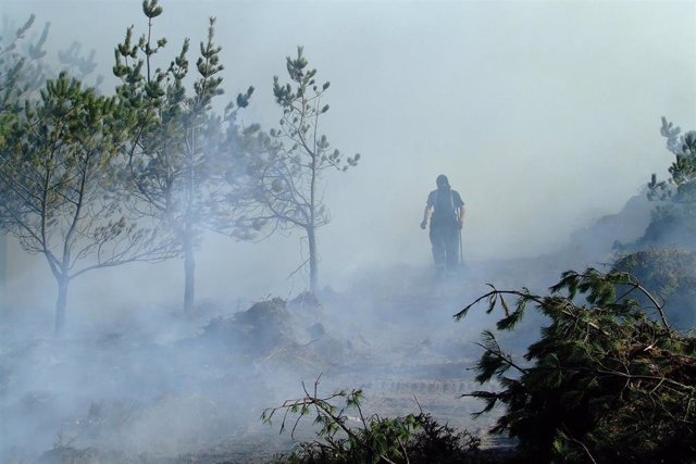 Imagen De Un Incendio Forestal