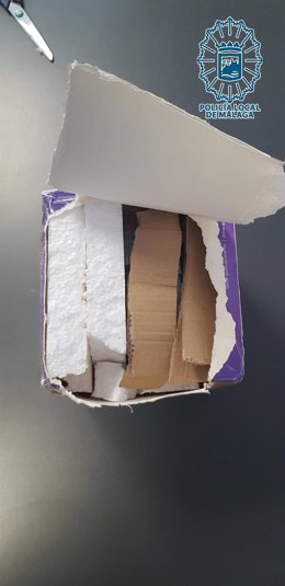 Cría de serptiente enviada en un paquete