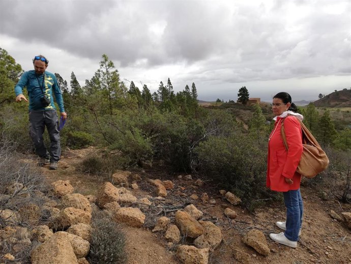 Excavación arqueológica en el ingenio azucarero de Soler, en Vilaflor (Tenerife)