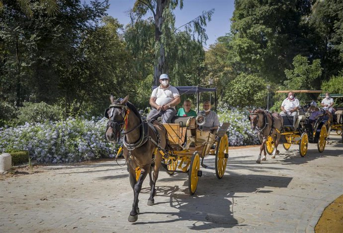 Cocheros de caballos de Sevilla pasean gratuitamente a ancianos residentes en el hogar del Hospital de la Caridad