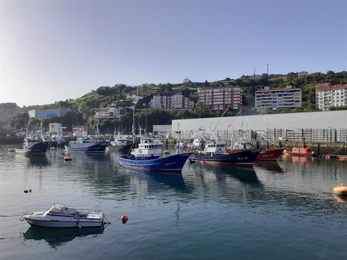  Puerto de Bermeo (Bizkaia)