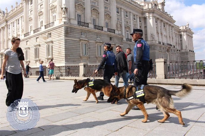 Imagen de recuro de la Policía Municipal de Madrid.