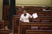 Vox pide la comparecencia de Delgado en el Congreso para explicar la actuación de la Fiscalía en 'caso Dina'