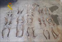 Detenidos cinco vecinos de La Carolina (Jaén) por robos en fincas de caza y casas de campo