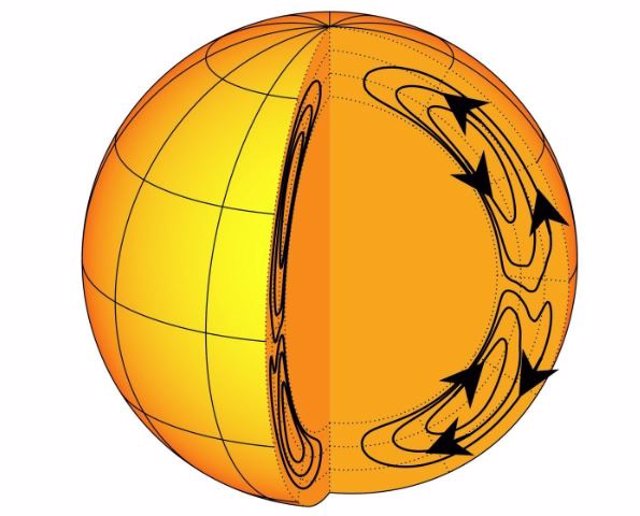 Potentes flujos de gas ionizado dentro del Sol se mueven hacia los polos cerca de la superficie y hacia el ecuador en la base de la zona de convección
