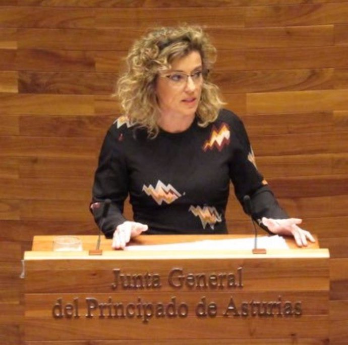 La diputada de Ciudadanos, Susana Fernández en una imagen de archivo.